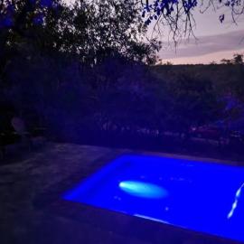 Boomhuis, Mabalingwe Nature Reserve, hotell i Warmbaths