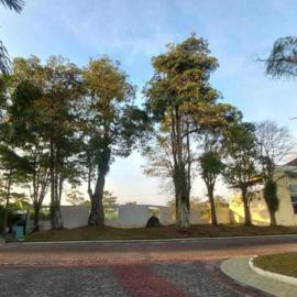 Merapi View Room