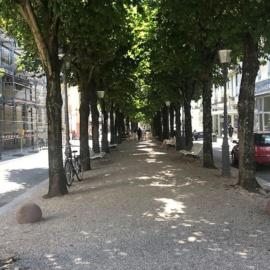 Wohlfühloase im Zentrum von Baden Baden
