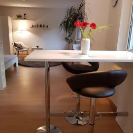 NICO Helles gemütliches Studio Innenstadt HomeOffice Workplace