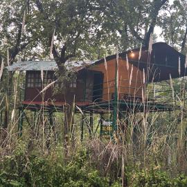 Treehouse at Kamp, hotel sa Dhanwār