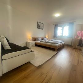 Ferienwohnung Dinh, hotel in Uhldingen-Mühlhofen