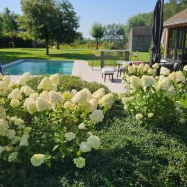 WanT Logies: Ruime loft, hotel a Damme