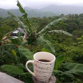 HOSTAL MIRADOR dentro del parque tayrona