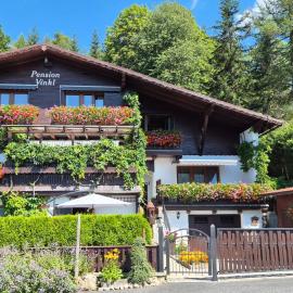 Pension Vinkl: Harrachov şehrinde bir otel