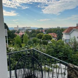 Janko's house