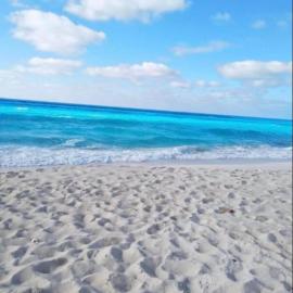 nice apartment near alamine, hotel in El Alamein