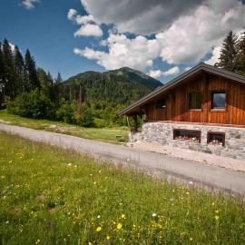 Appartement 2 à 4 personnes Chalet Le Bolet