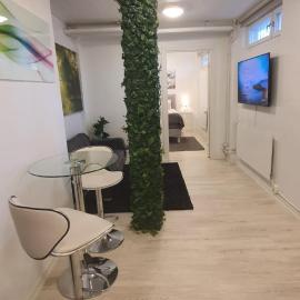 Beautiful basement apartment, very private and close to the metro