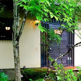 - Acorn Garden - - Vacation STAY 54262v