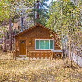 Bear Forest Hideaway, 5 Bed's, Indoor Fireplace!