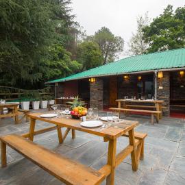 Alaya Stays Cottage with Tree House - Suro Woodbine Chalet, hotel in Shogi