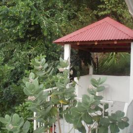 Studio de charme au coeur du village, belle vue baie des Saintes, proche débarcadère et commodités