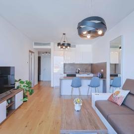 Sky Park Tower 1, luxury apartment with free parking、Nivyのホテル