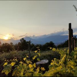 GrappoloNero, hotel u gradu 'Laino Castello'