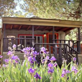 Carter`s Charm Cabin