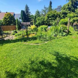 Große Wohnung mit Garten