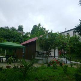 BANI tsikhisdziri