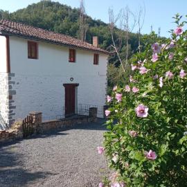 Molino De Pradillo