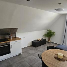 DG Apartment mit Neckarblick