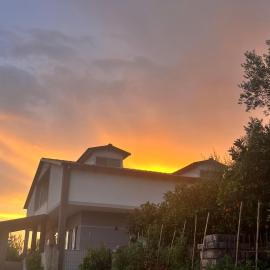 Wooden Guest House