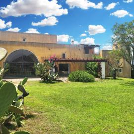 Masseria Mosca