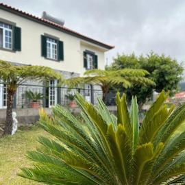Guest House Santinhos, hotel in Estreito da Calheta