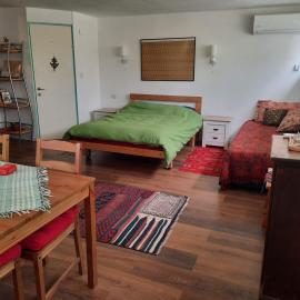 הבית הירוק - Green House, hotel v mestu Arad