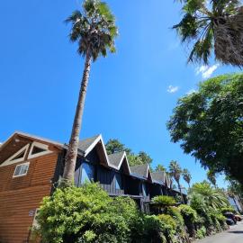 Tree Story Pension