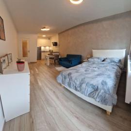 Charming new appartment near Geneva