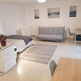 Cosy new Studio close to airport, UN, palexpo !