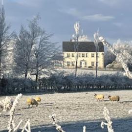 Arney Lodge Farm, hotel in Newtownstewart
