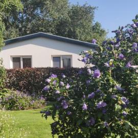 Vakantiebungalow Texel, hotel v destinaci De Cocksdorp