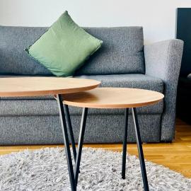 Cozy studio apartment 6 mins by Train to Airport, hotel in Vantaa