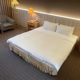 Chuto Plaza Hotel, hotell i Taoyuan