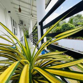 Open Space Luxury Apartments Unawatuna, hotel in Unawatuna