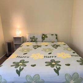 Beautiful room near shops 12 km to CBD and fast internet plus free parking, hotel in Albion