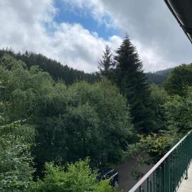 FeWo Wald Idyllika