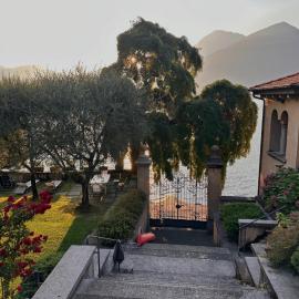 Villa Vica - by MyHomeInComo, Hotel in Musso