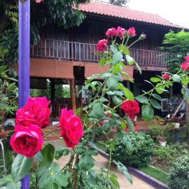 homestay nhà sàn, hotel a Buôn Alê (1)