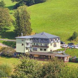 Hotel Grüner Baum mit Restaurant & Wellness, hótel í Beerfelden