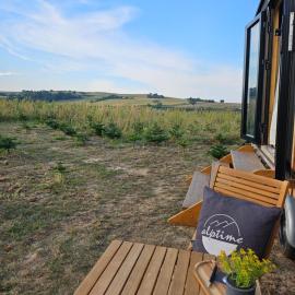 Behagliches OFFGRID Tiny House - Escape to Nature, hotell sihtkohas Sankt Pölten