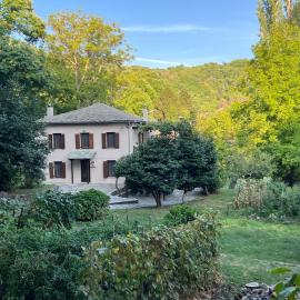 The Cottage in the Trees