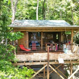 cabane entre les arbres