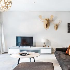 Leafy Inner City Apartment Near Sydney CBD