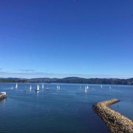 Private 1 bedroom with amazing sea views, hotel in Lower Hutt