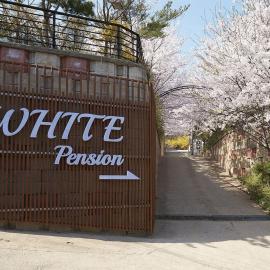 Whity pension