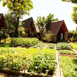 Buon'S garden, hotel in Buôn Kao
