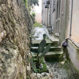 Pietre di Mare