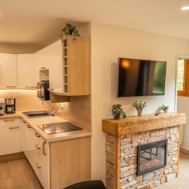 Résidence Les Hauts De Preclaux - Superbe appartement offrant une vue sur les pistes MAE-6104